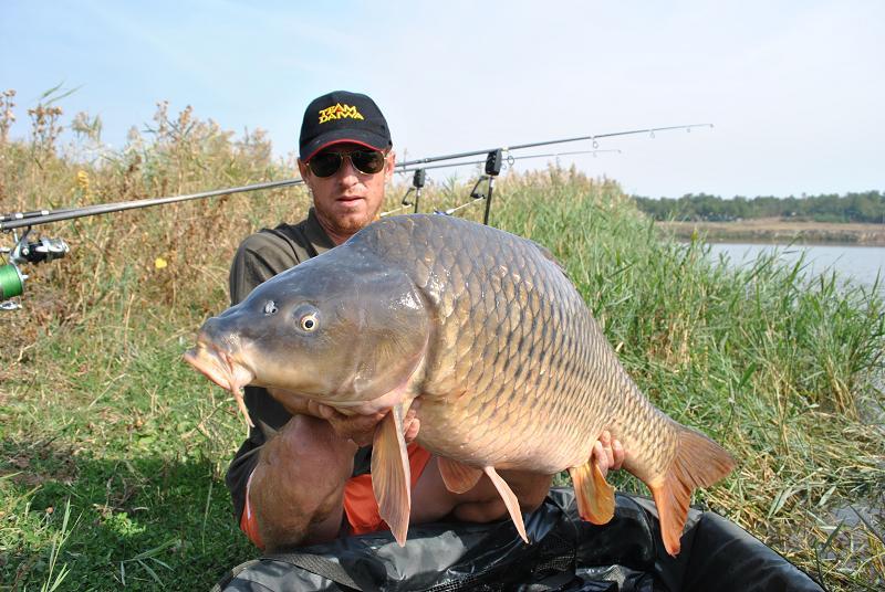  Capturi Sarulesti  - pas0.jpg